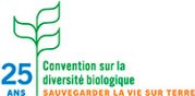 Logo-Convention-diversite
