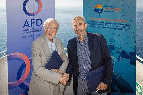 Signature convention The MedFund/AFD